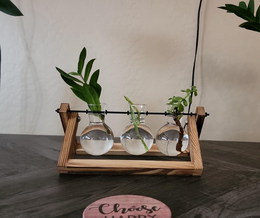 Plant Terrarium with Wooden Stand, Air Planter Bulb Glass Vase Metal Swivel Holder Retro Tabletop for Hydroponics Home Garden Office Decoration - 3 Bulb Vase